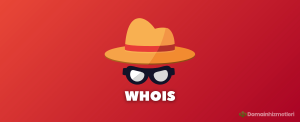 Domain Whois Gizleme Nedir Ve Ne İşe Yarar