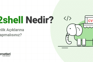 php2shell Nedir